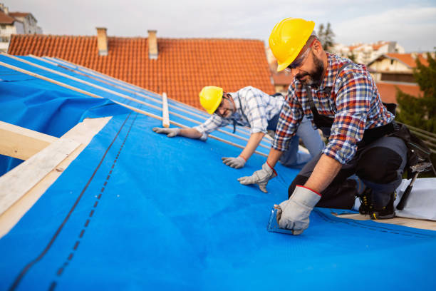 Best Roof Replacement Cost  in Woodland Park, CO