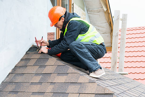 Best Roof Restoration Services  in Woodland Park, CO